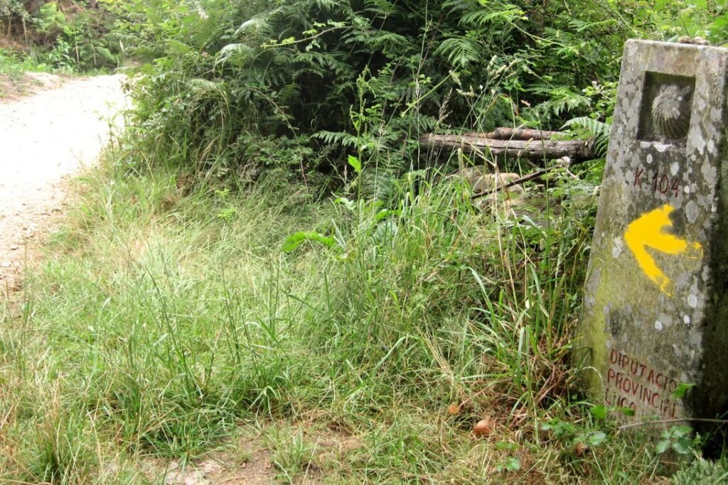 camino desde sarria en 5 etapas